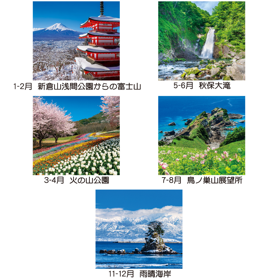 トーハン・ＤＸ 日本（TD-501）画像-3