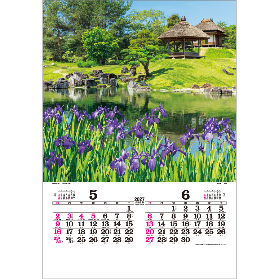 【超早割】トーハン･DX 庭（TD-510）画像-2