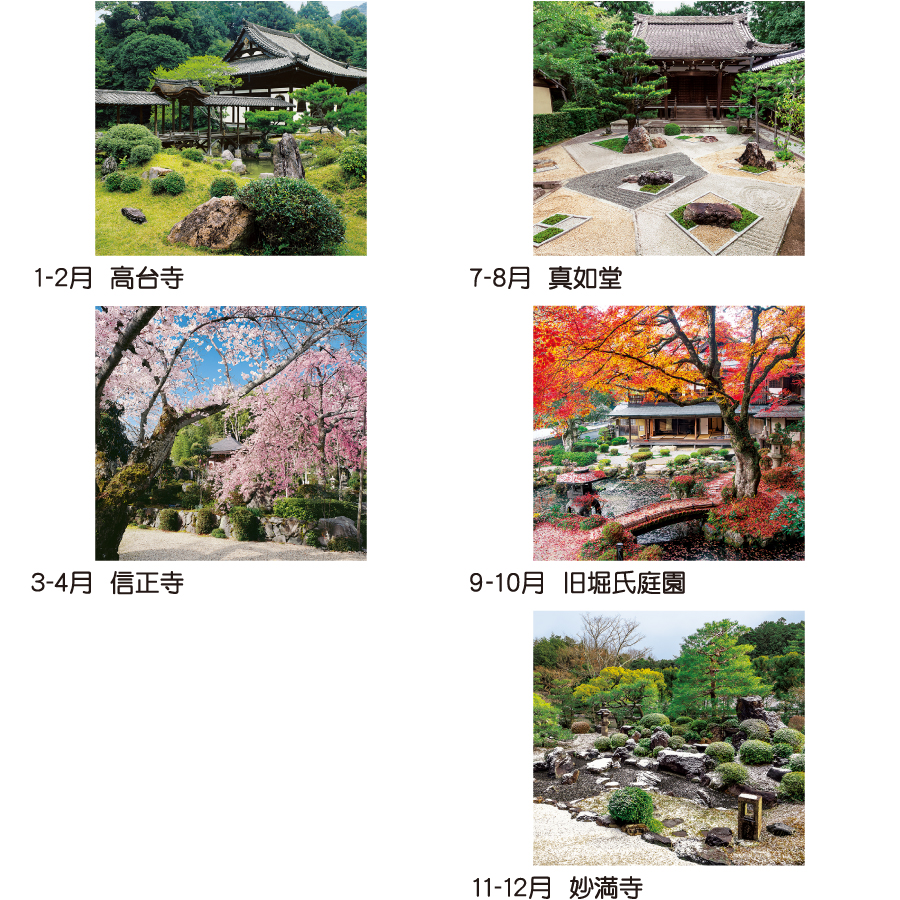 【超早割】トーハン･DX 庭（TD-510）画像-3