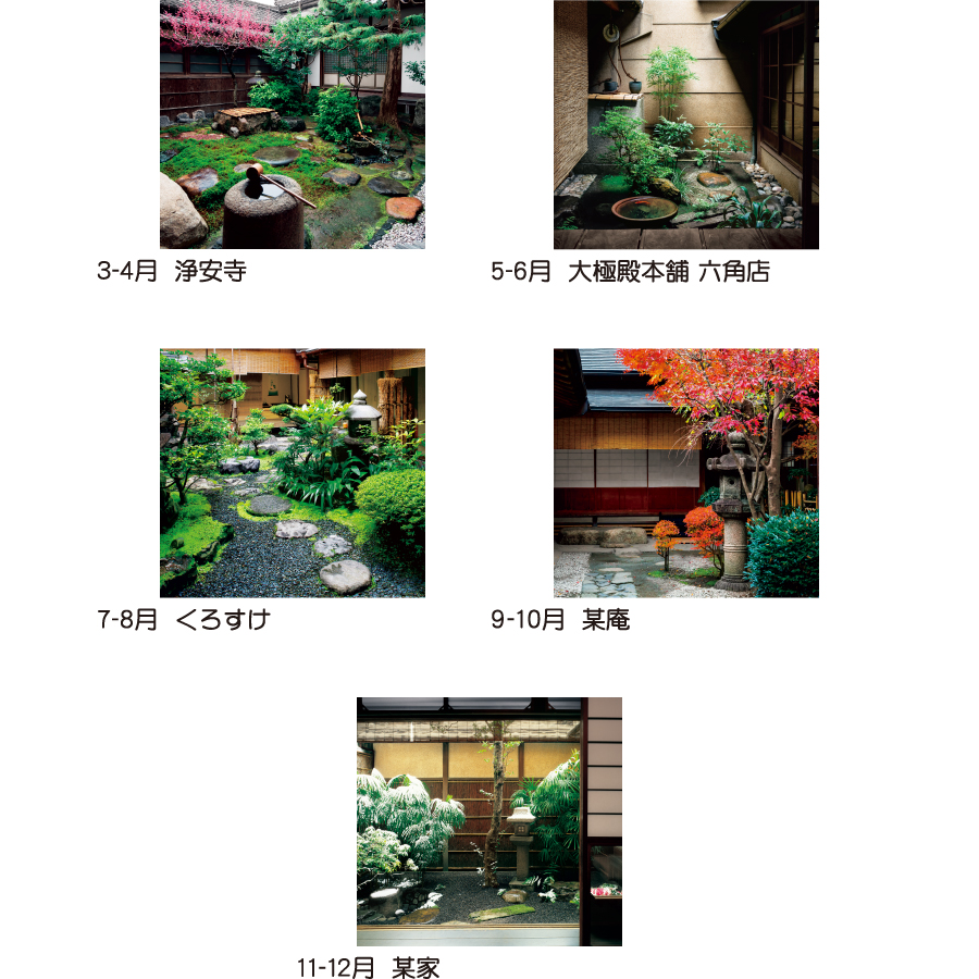 坪庭（TD-511）画像-3