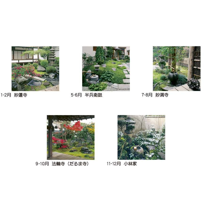 坪庭（TD-511）画像-3
