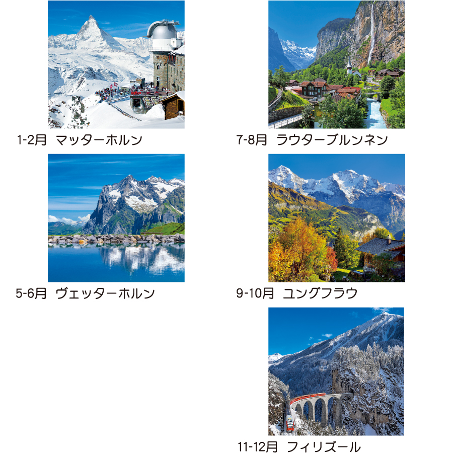 【超早割】トーハン・DX スイス(TD-520)画像-3
