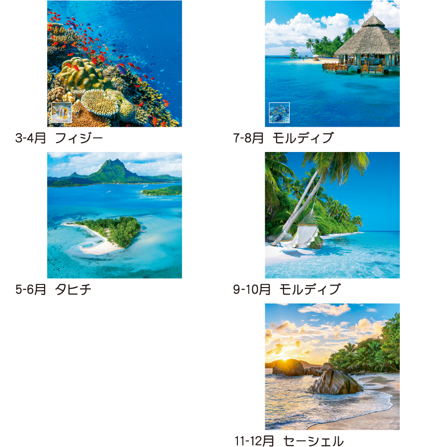 【超早割】トーハン・DX マリンブルー(TD-527)画像-3