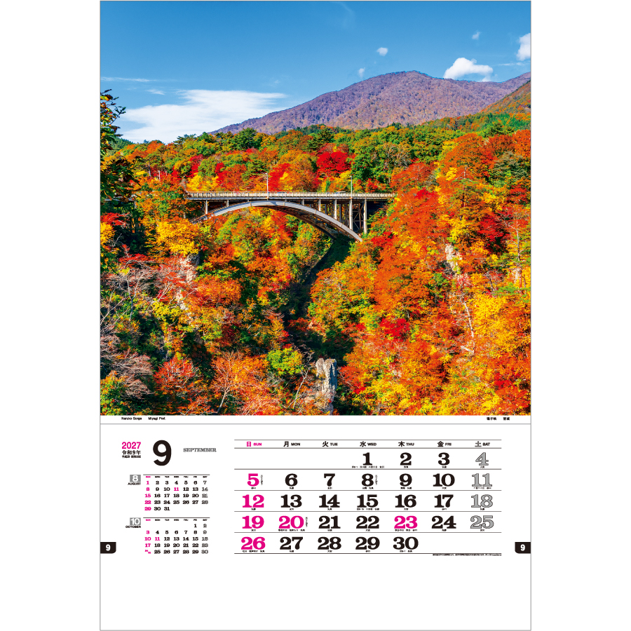 【超早割】トーハン・ハイDX 日本の美(TD-565)画像-2