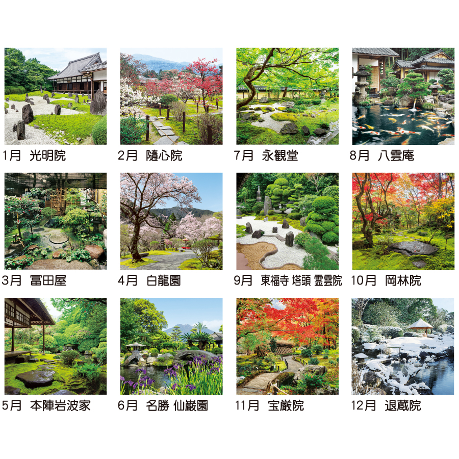 【超早割】小庭清風(TD-602)画像-3