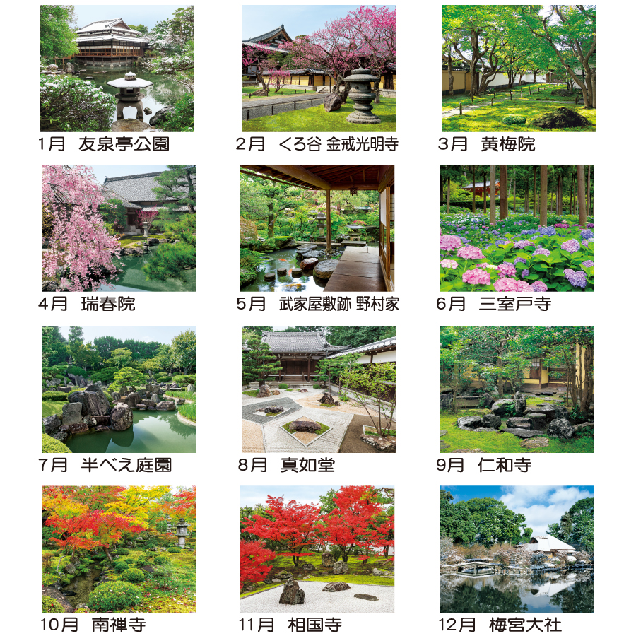 小庭清風（TD-602）画像-3