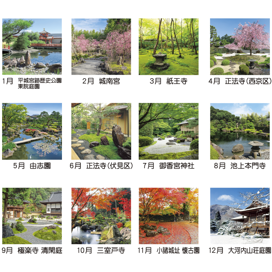 小庭清風（TD-602）画像-3