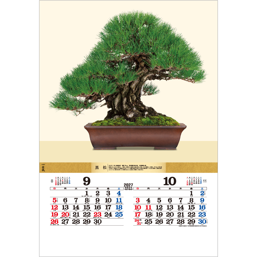 【超早割】盆栽DX（TD-624）画像-2