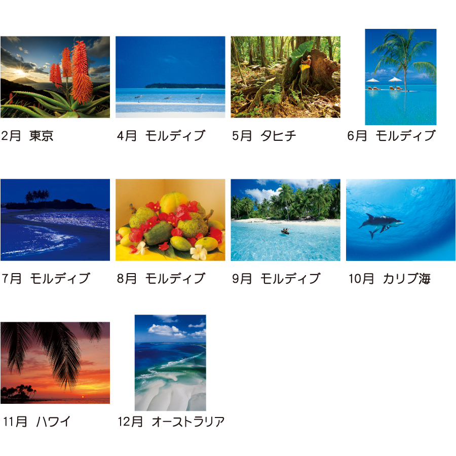【超早割】癒しの楽園 〜三好和義作品集〜(TD-653)画像-3