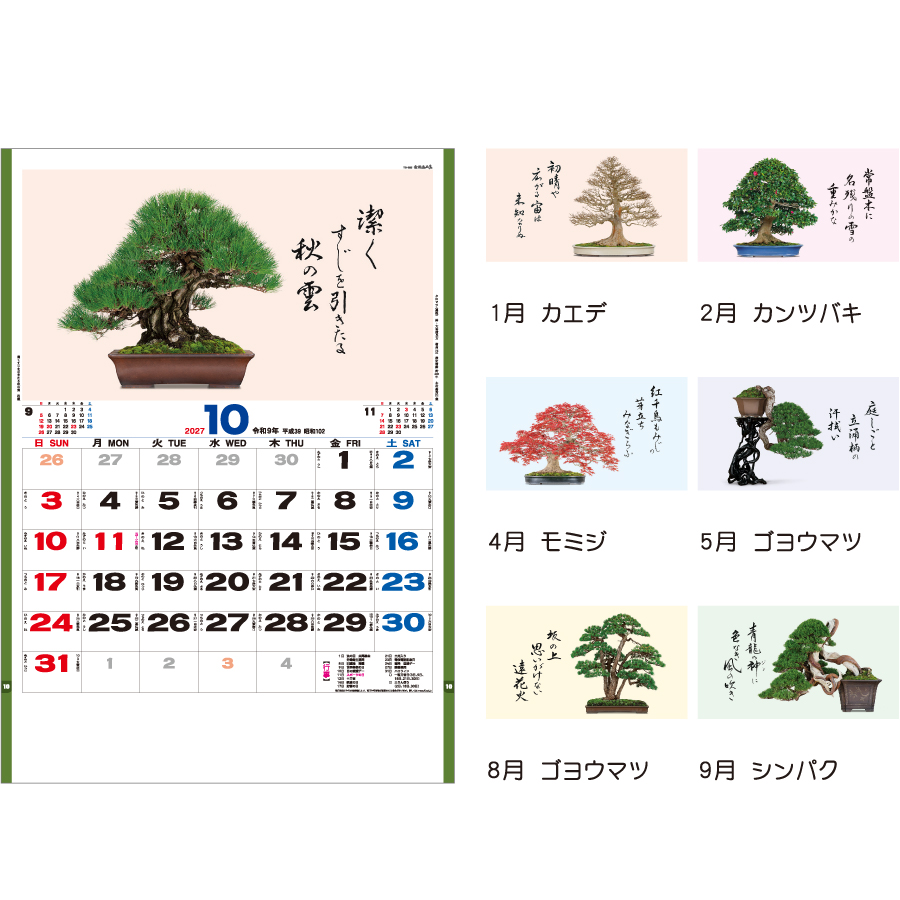 【超早割】盆栽逸品集(TD-665)画像-3