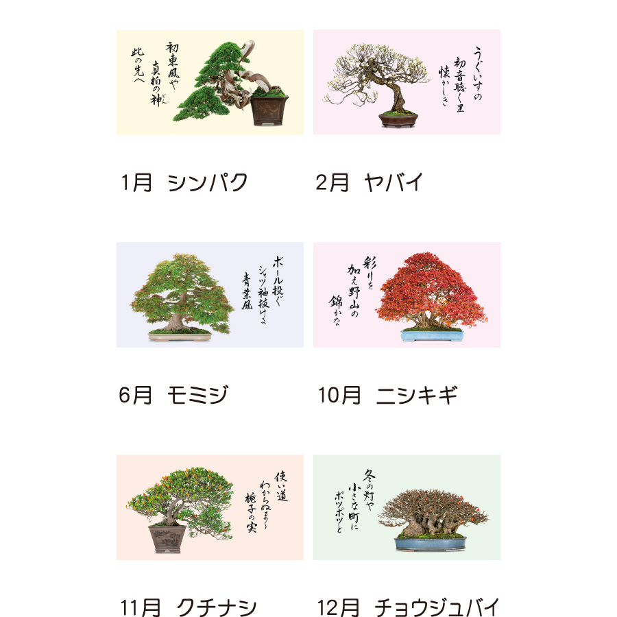 盆栽逸品集（TD-665）画像-3