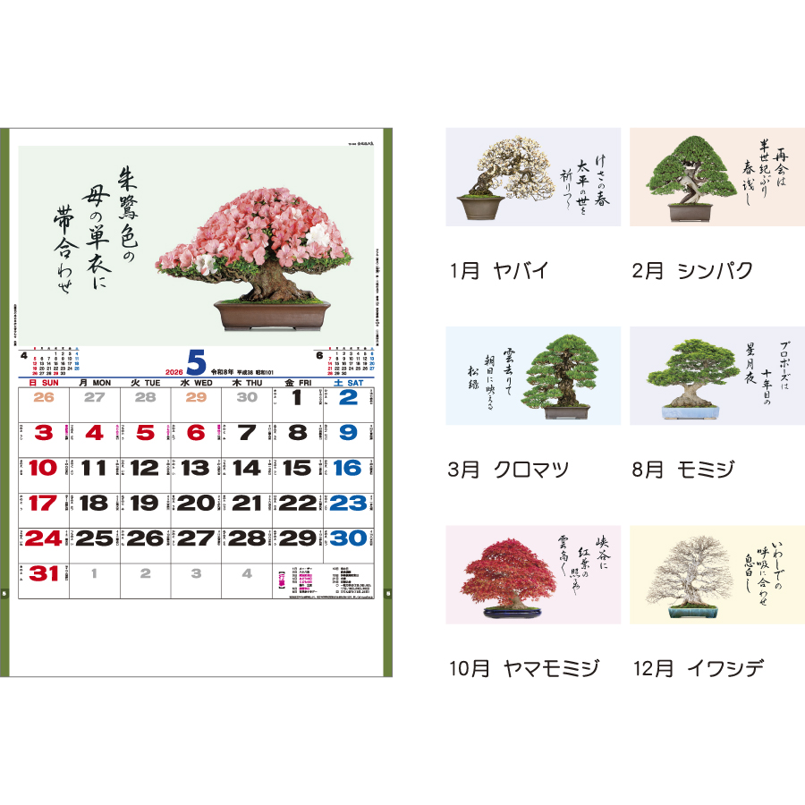 盆栽逸品集（TD-665）画像-3
