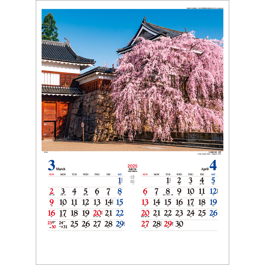 詩 郷（TD-700）画像-2