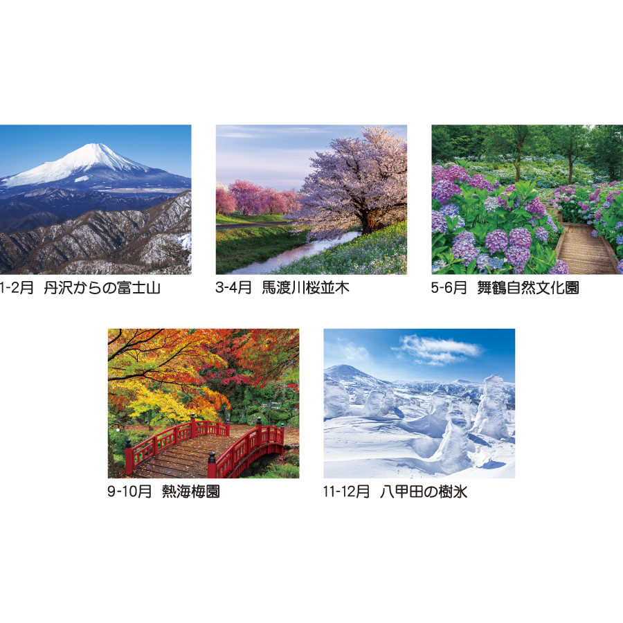 詩 郷（TD-700）画像-3