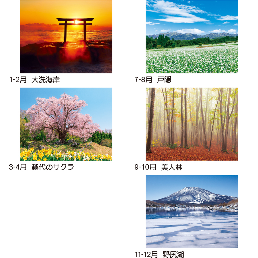 【超早割】四季の情景(TD-701)画像-3