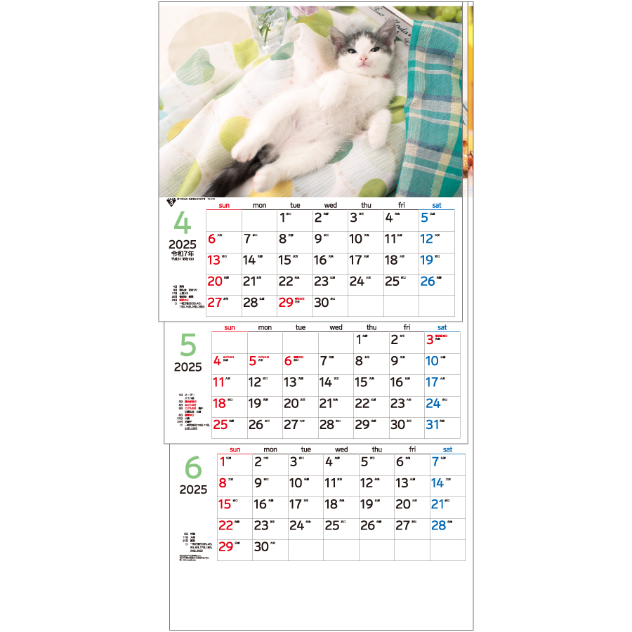 ワンニャン３ヶ月−上から順タイプ−（TD-775）画像-2