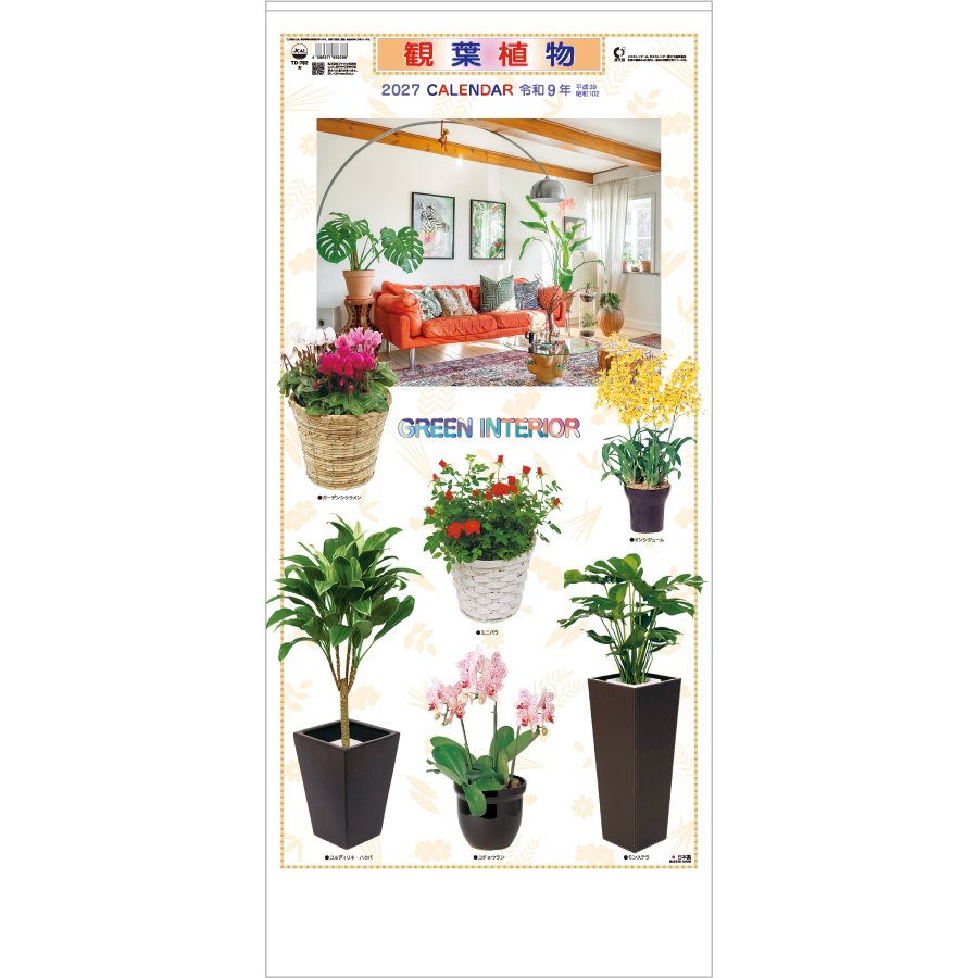 【超早割】観葉植物