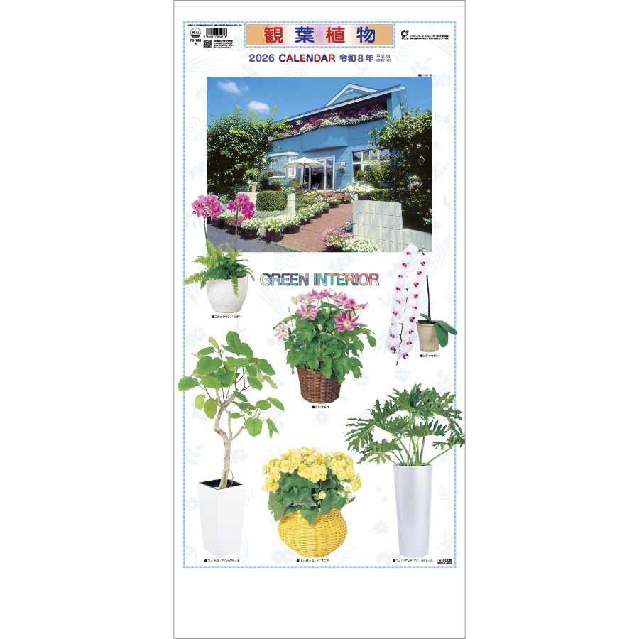 観葉植物