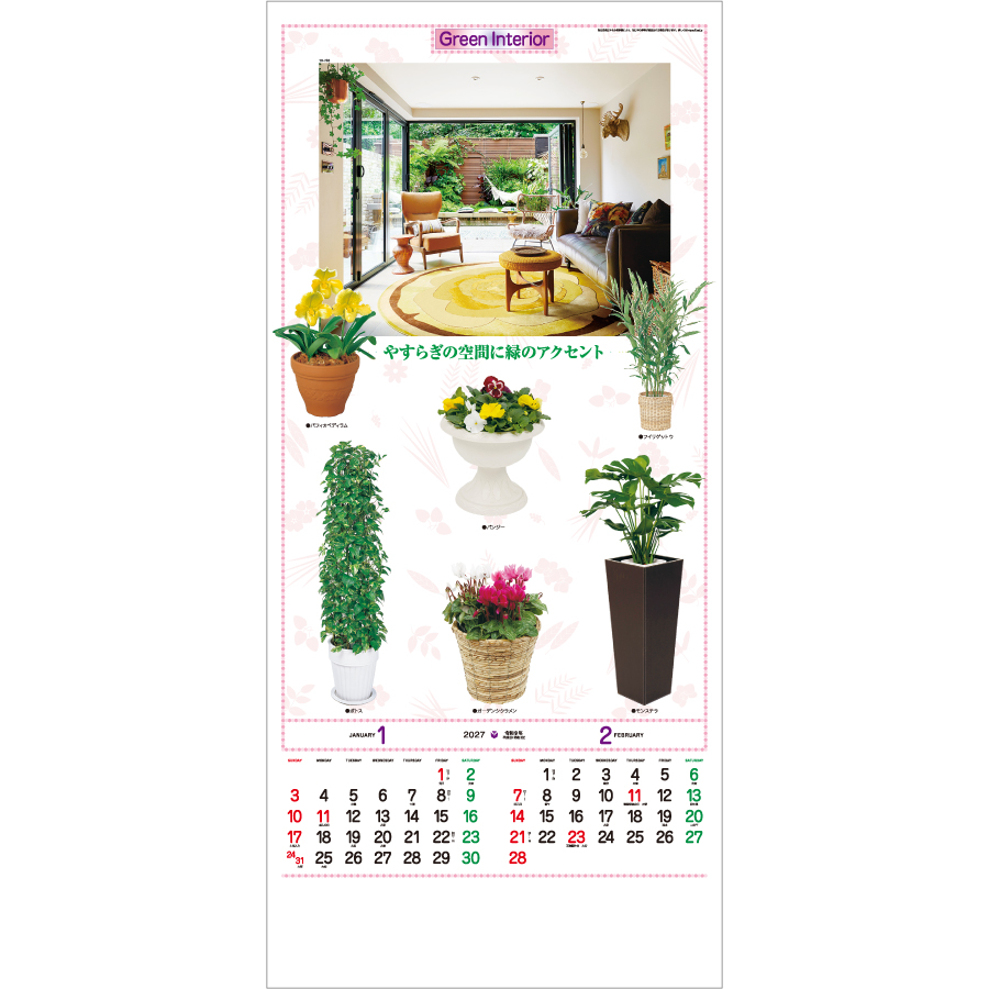 【超早割】観葉植物(TD-782)画像-2
