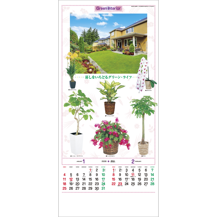 観葉植物（TD-782）画像-2
