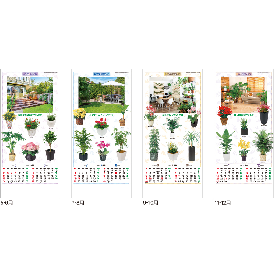 【超早割】観葉植物(TD-782)画像-3