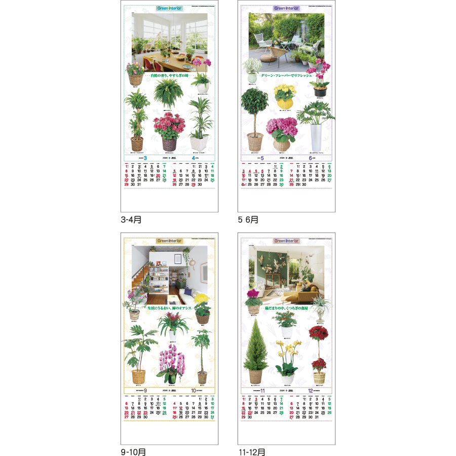 観葉植物（TD-782）画像-3