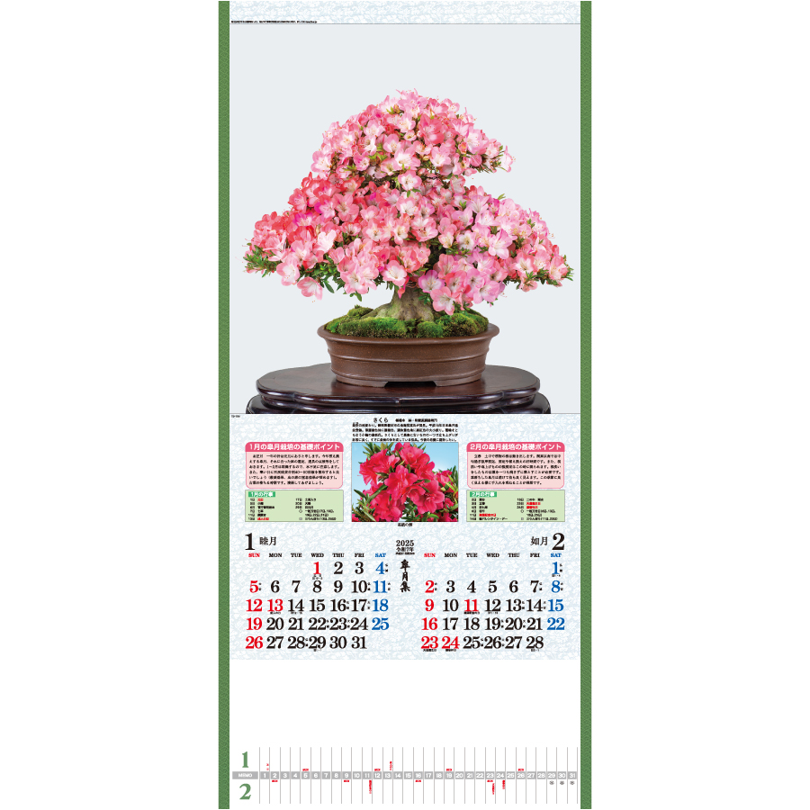 皐月集（TD-784）画像-2
