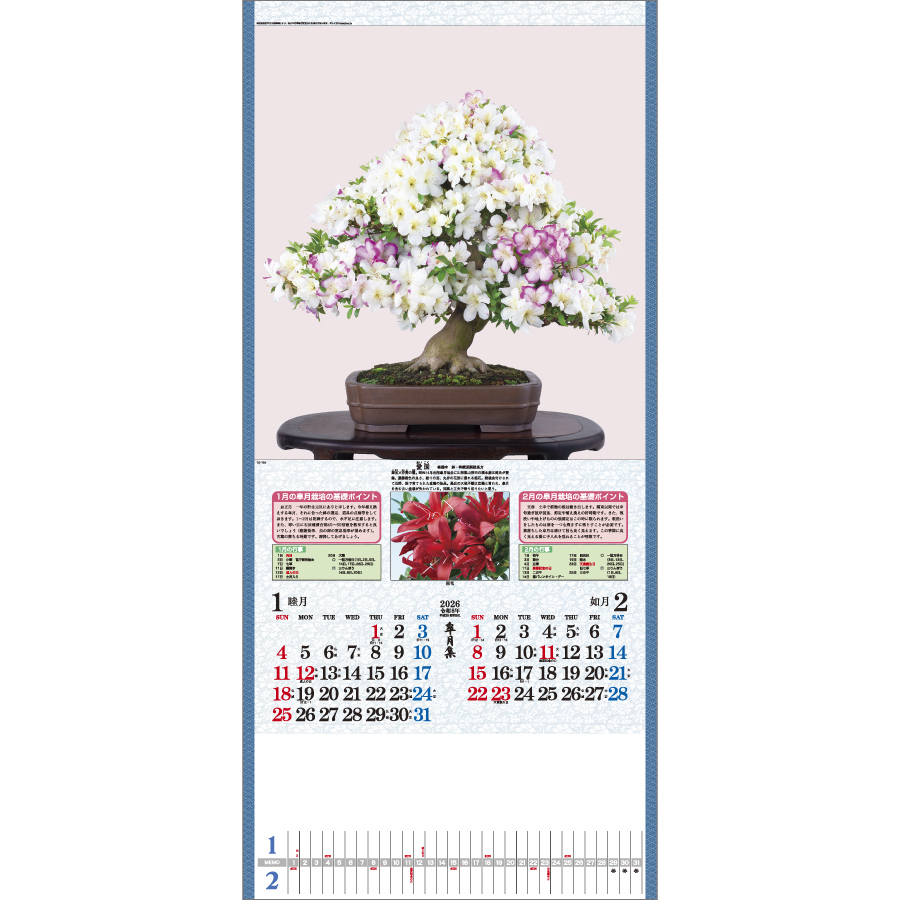 皐月集（TD-784）画像-2