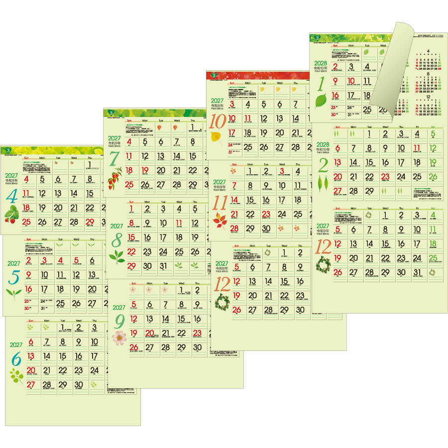 【超早割】グリーン3ヶ月eco -上から順タイプ-(TD-787)画像-3