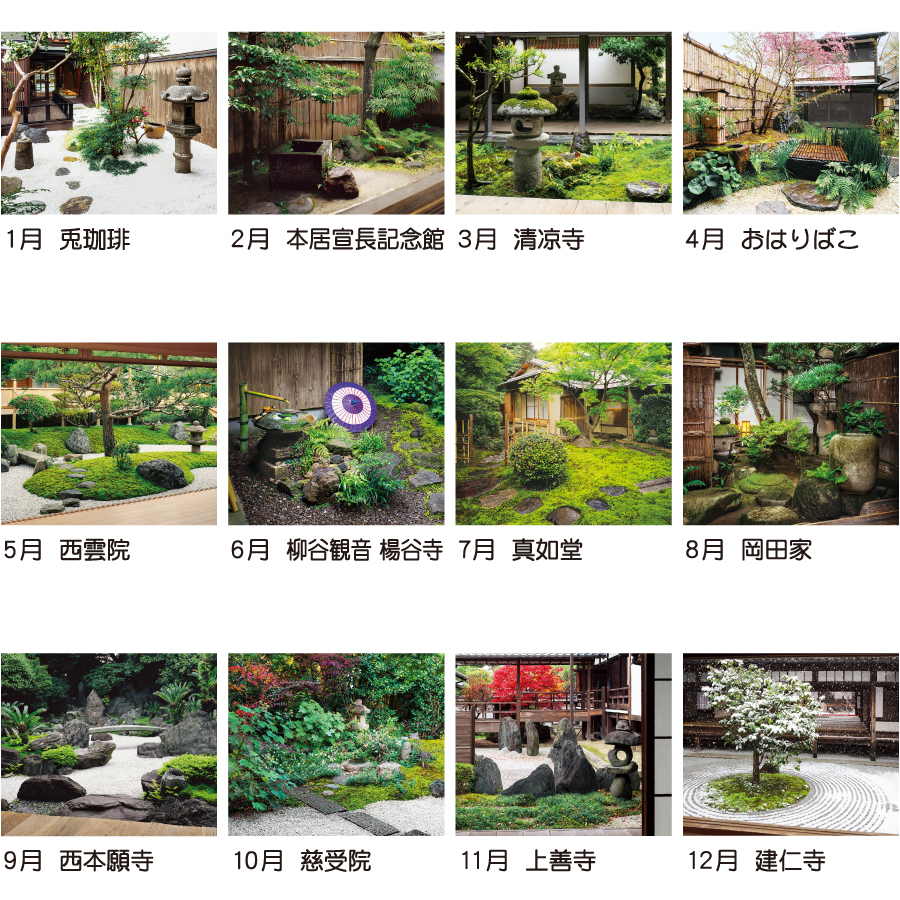 【超早割】坪庭(TD-806)画像-3