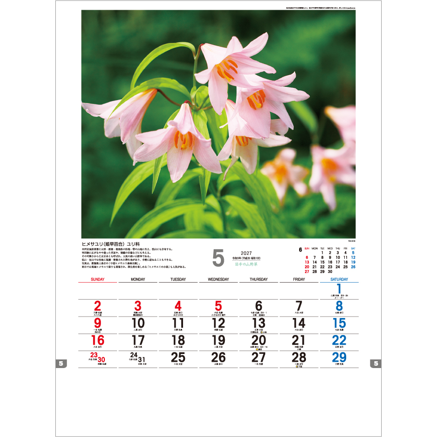 【超早割】日本の山野草(TD-818)画像-2