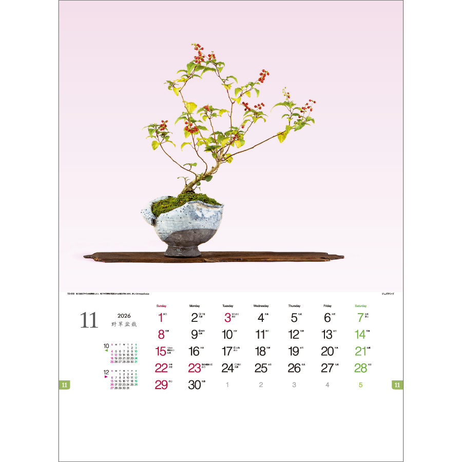 野草盆栽（TD-819）画像-2
