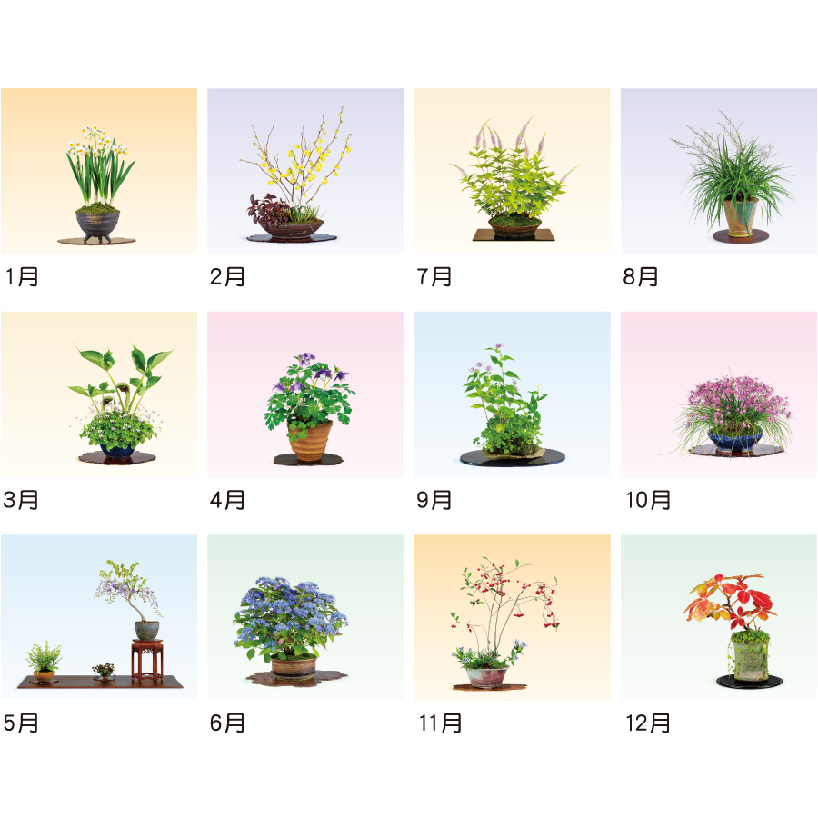 【超早割】野草盆栽(TD-819)画像-3