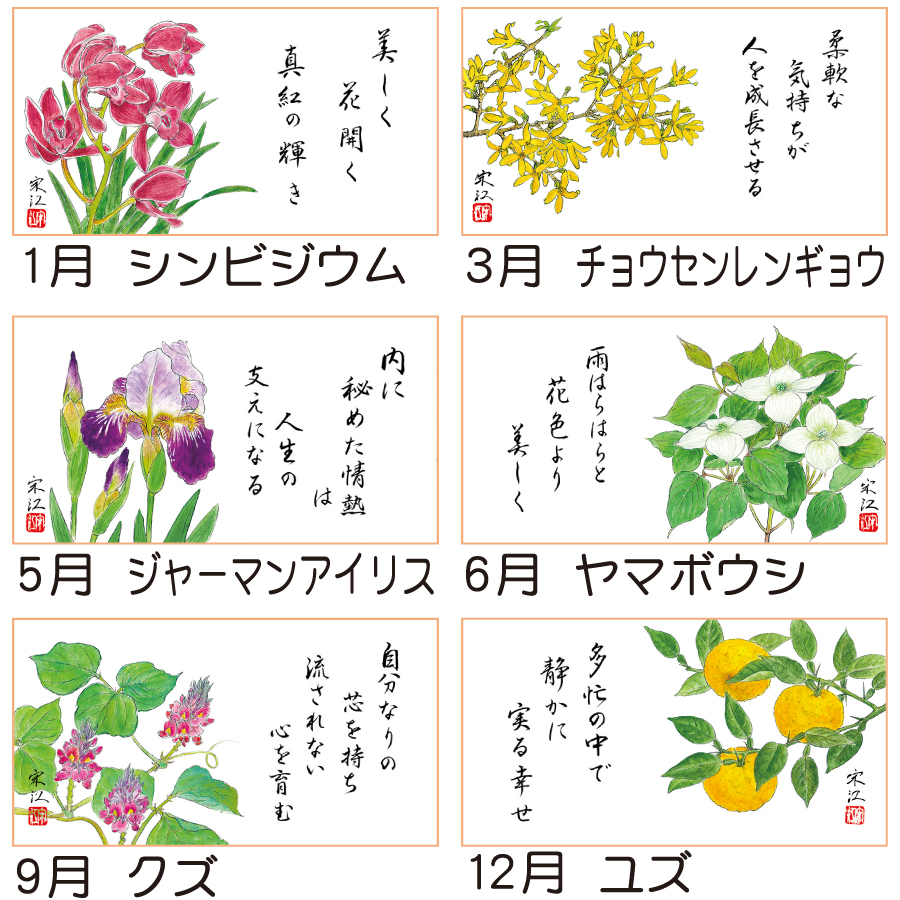 花ごよみ（TD-851）画像-3