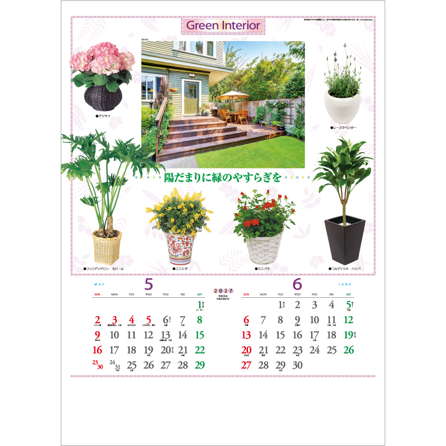 【超早割】観葉植物と暮し(TD-917)画像-2