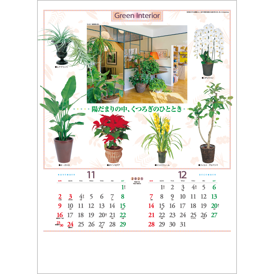 観葉植物と暮し（TD-917）画像-2