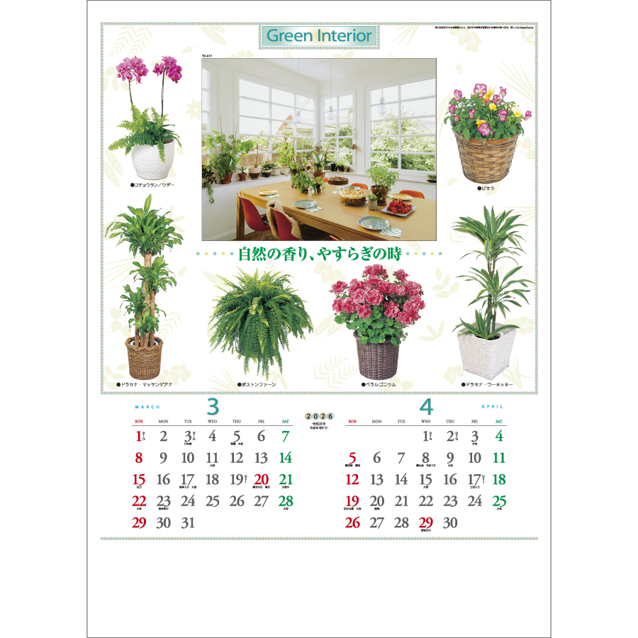 観葉植物と暮し（TD-917）画像-2