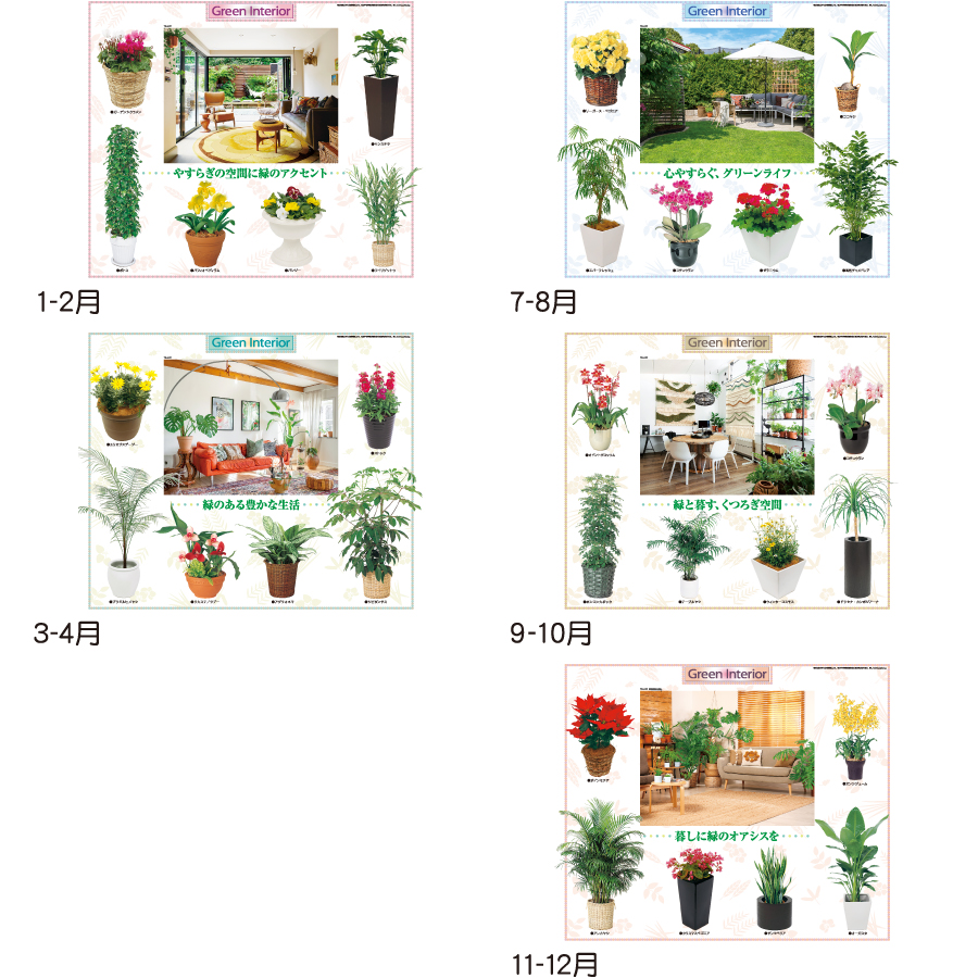 【超早割】観葉植物と暮し(TD-917)画像-3