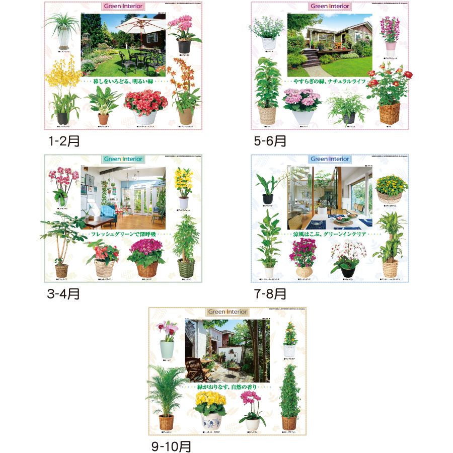 観葉植物と暮し（TD-917）画像-3