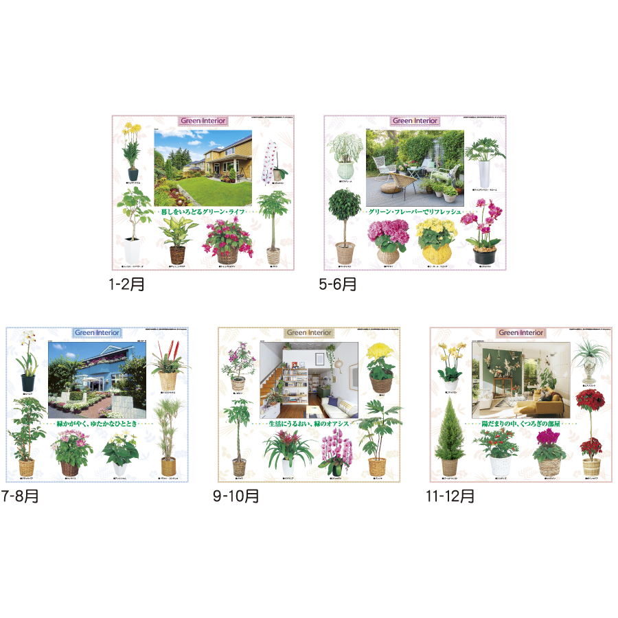観葉植物と暮し（TD-917）画像-3