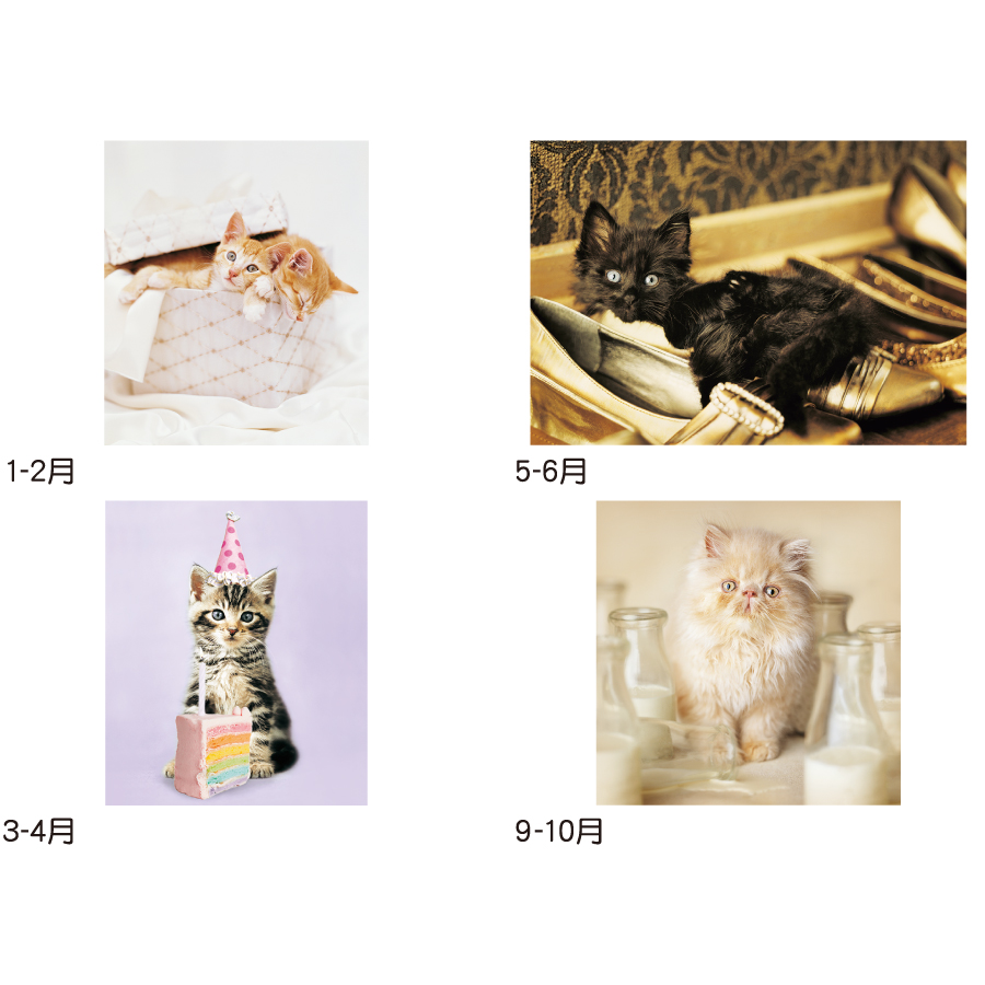 【超早割】ラヴ・キャット〜レイチェル・ヘイル〜(TD-934)画像-3