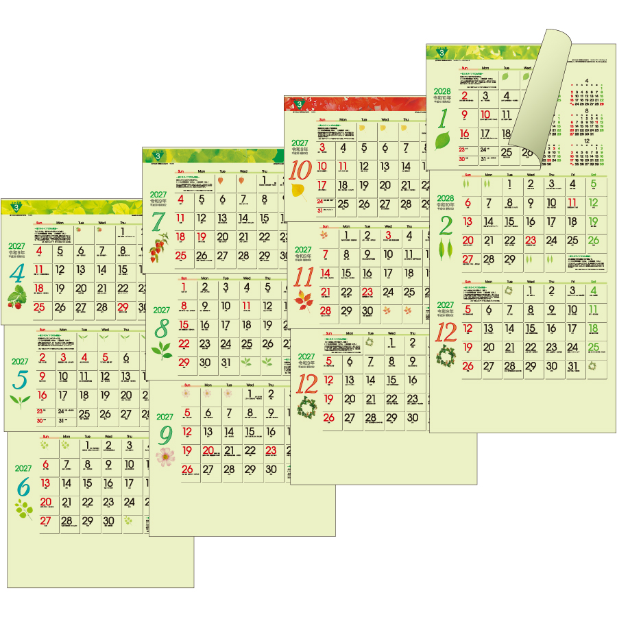 【超早割】グリーン3ヶ月ecoSー上から(TD-975)画像-3