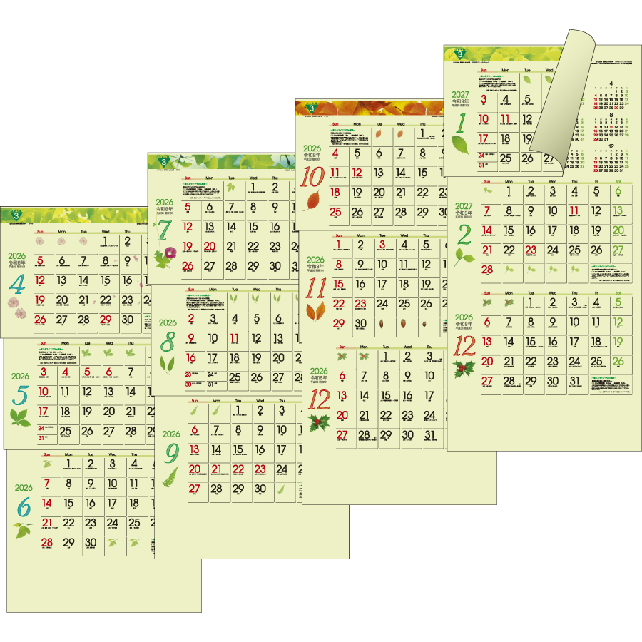 グリーン３ヶ月ｅｃｏＳ－上から順タイプ－（TD-975）画像-3