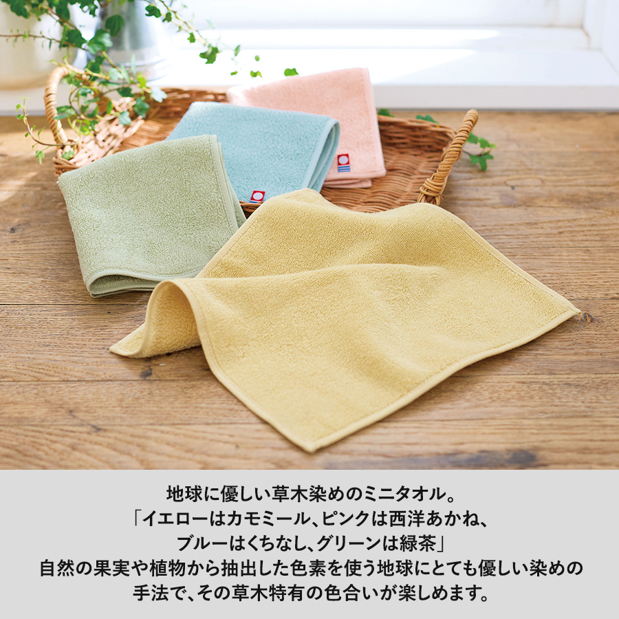 今治草木カラーミニタオル　グリーン（TT-0011-012）画像-5