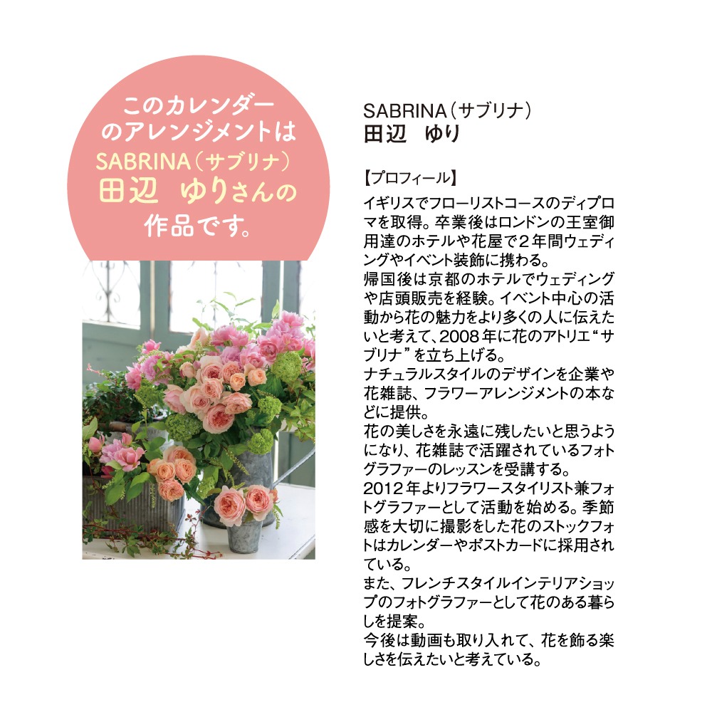 Ｂ３フローラルライフ（XA-014）画像-3