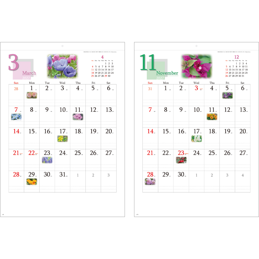 【超早割】四季の花もよう(YG-12)画像-3