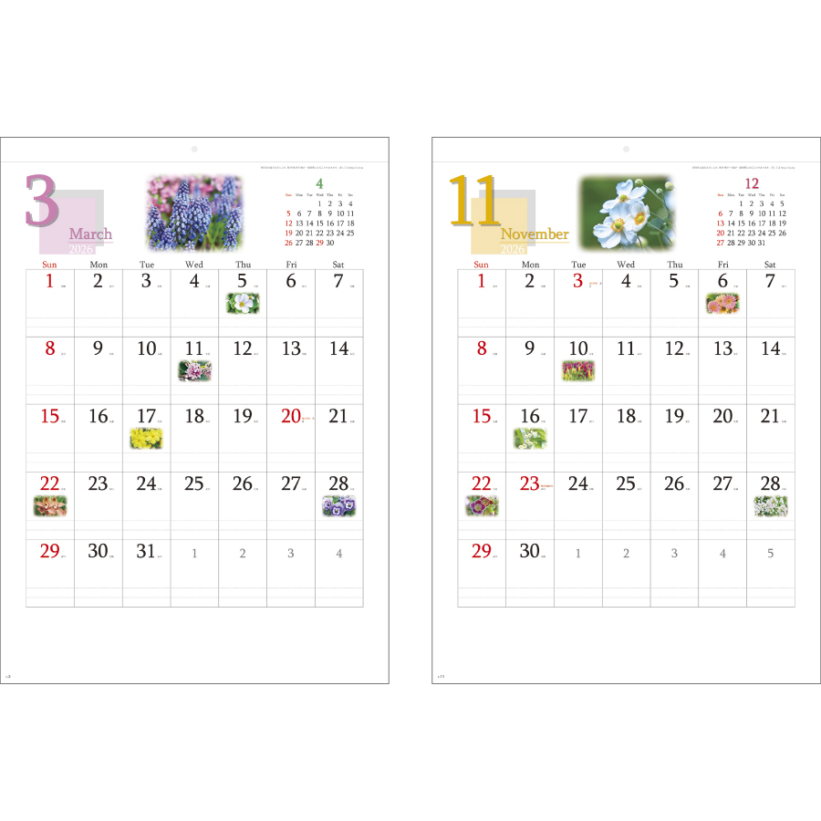 四季の花もよう（YG-12）画像-3