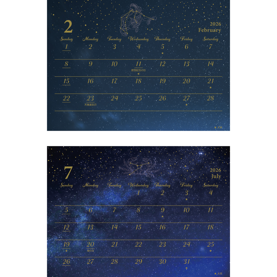 スターダスト（YG-209）画像-2