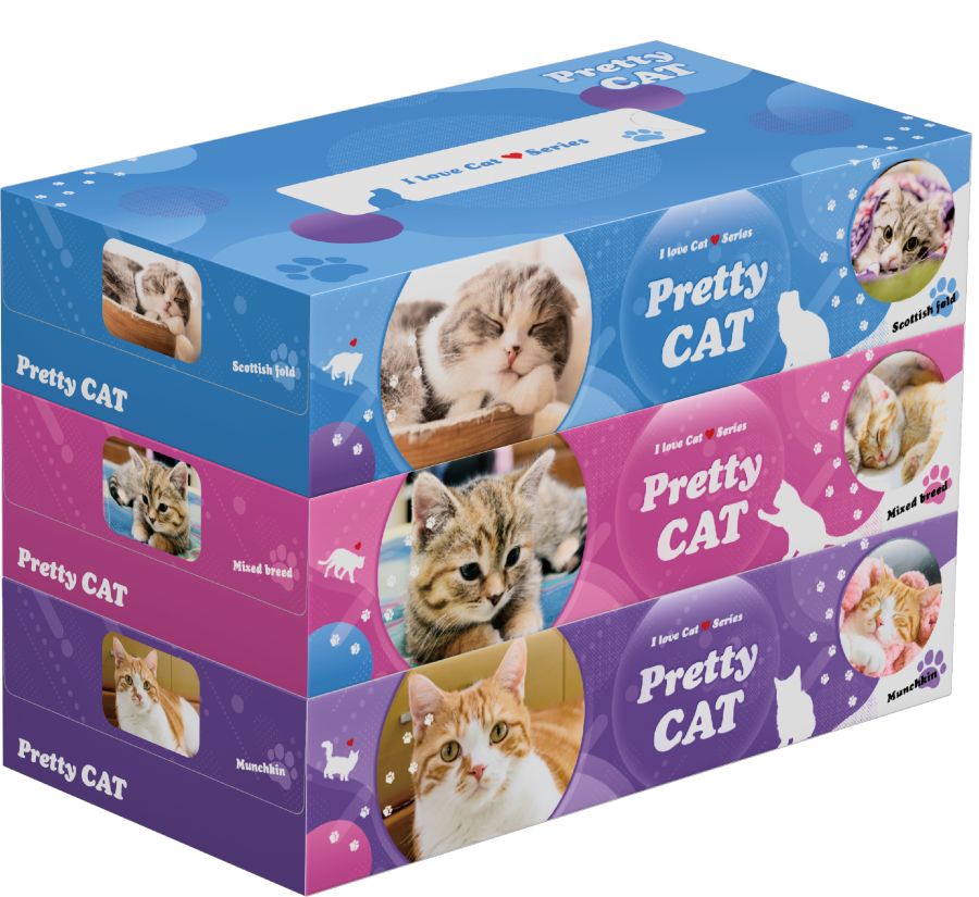 プリティーキャット3P〔100W〕